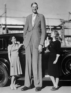 tallest person